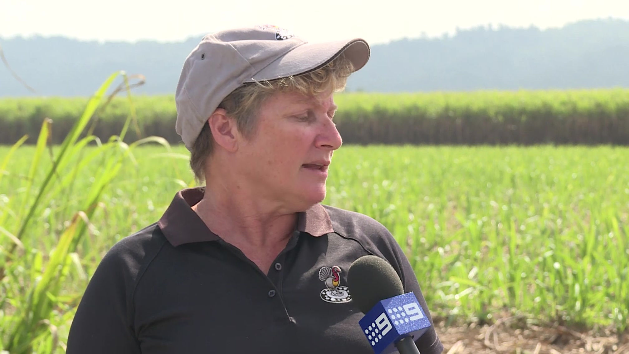 Denitrification Bioreactors | Channel 9 News